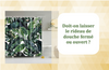 Doit-on laisser le rideau de douche fermé ou ouvert?